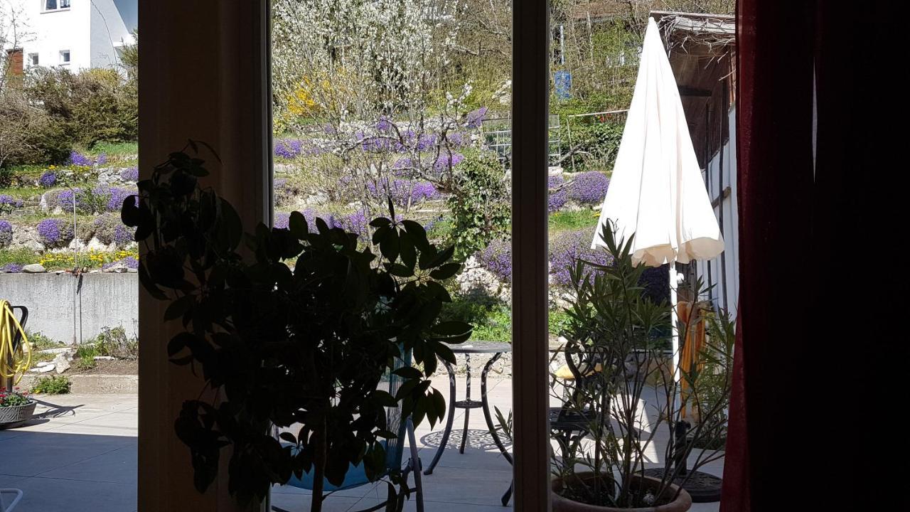 Haus Wunderlich Lägenhet Sigmaringen Exteriör bild